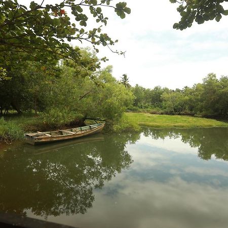 Lara Lake View Resort Thiruvananthapuram Buitenkant foto